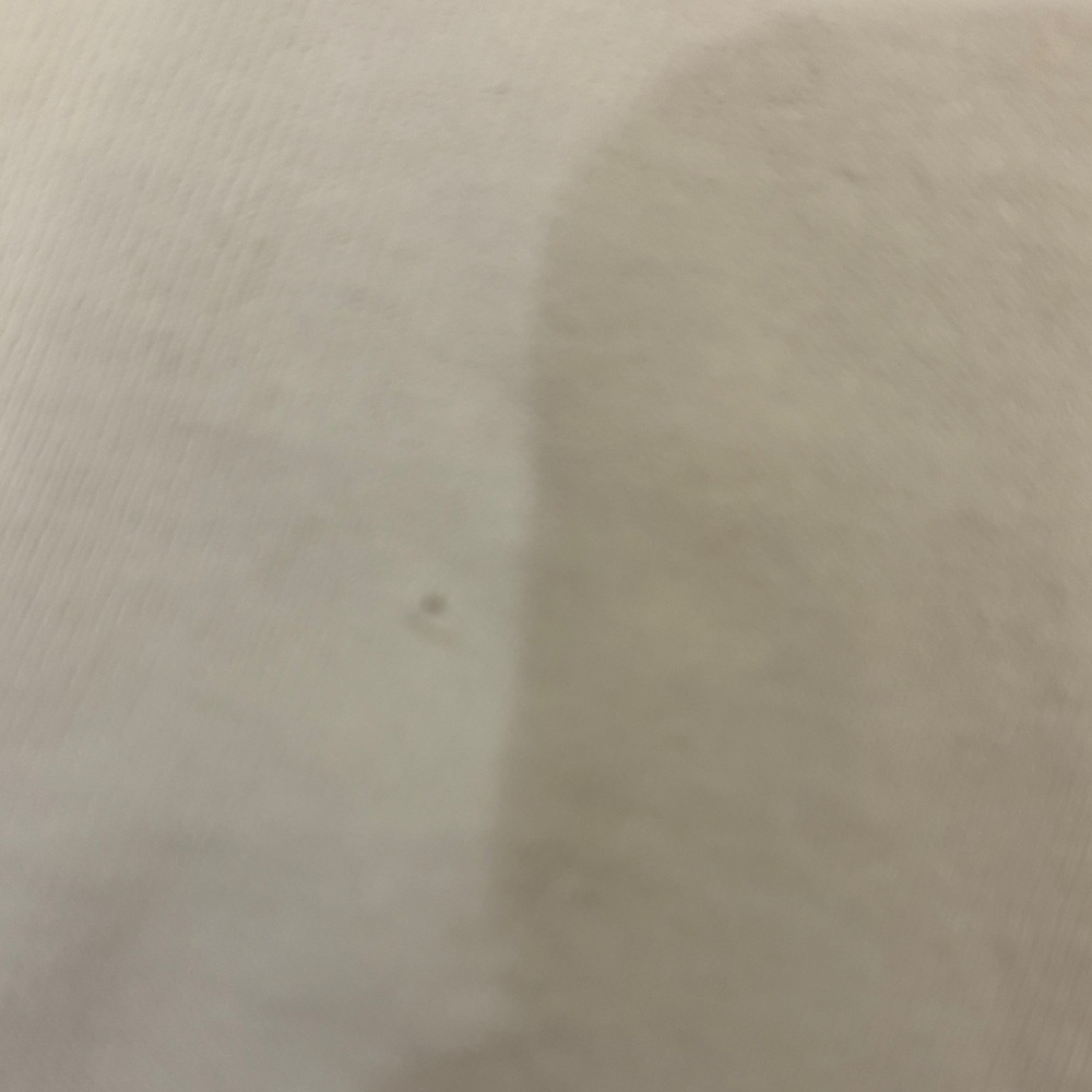 Magic Cream T-Shirt - Picture 5 of 8